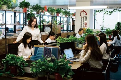 河南全占商務信息咨詢 企業發展的智慧伙伴